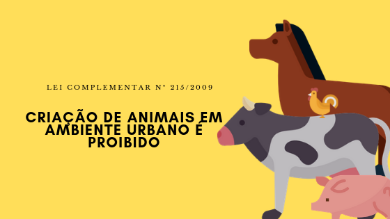 Criação de animais em ambiente urbano é proibido